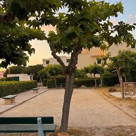 Front De Avec Acces Prive A La Et Grande Terrasse Vue Sur La
